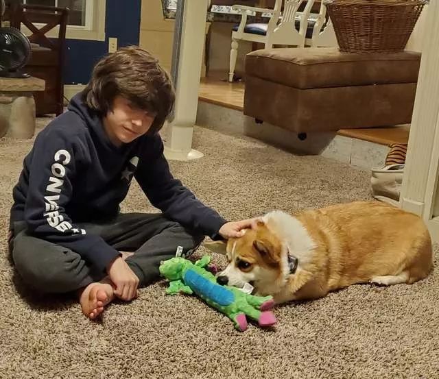 如果狗狗转世了,你会怎么认出它?网友:它会帮