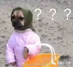 小学生表白都这么疯狂的吗？哈哈哈太骚了吧！