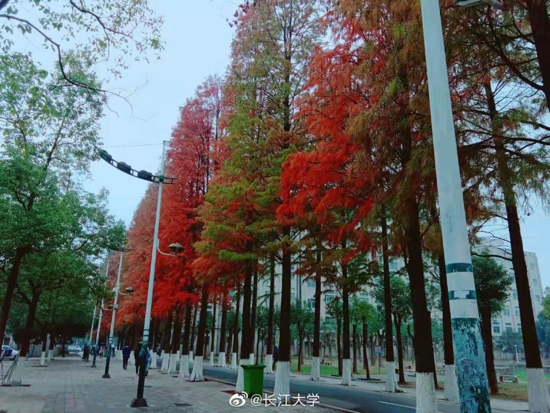 江汉大学