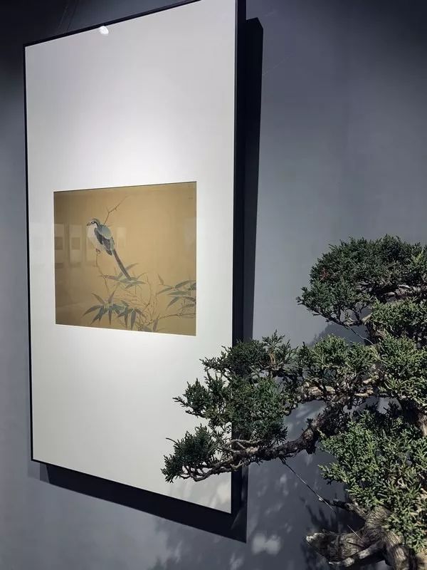 中正平和—丁学军工笔花鸟作品展在青州齐尚会馆举行