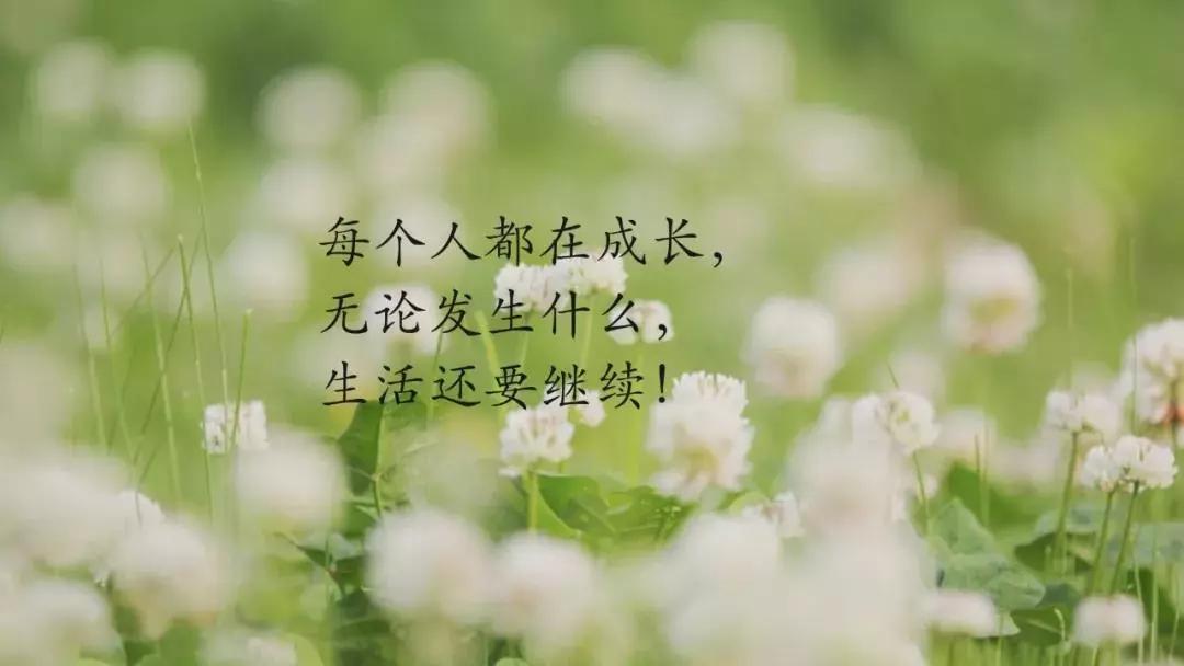 fd681561f8f140f1a55899ccb26b2c61.JPG
