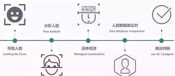 人口规律种类_人口普查(2)