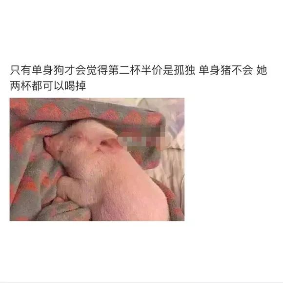 背景图 | 别指望减肥了,八戒走了十万八千里也没见瘦下来 而且,他还