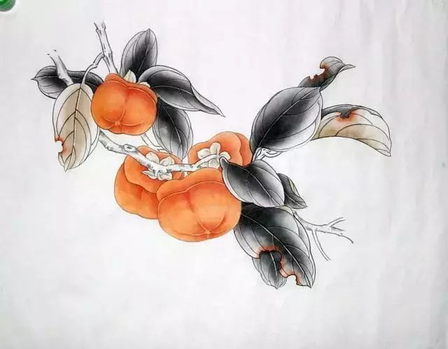 【国画教程】柿子的画法