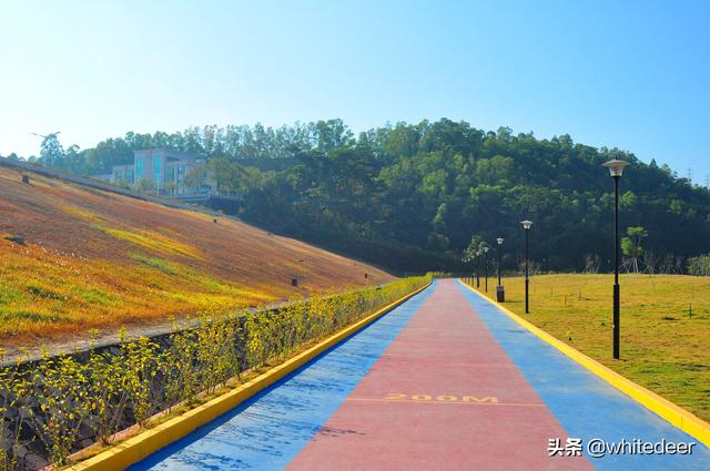 随拍公园 东莞契爷石水库湿地公园