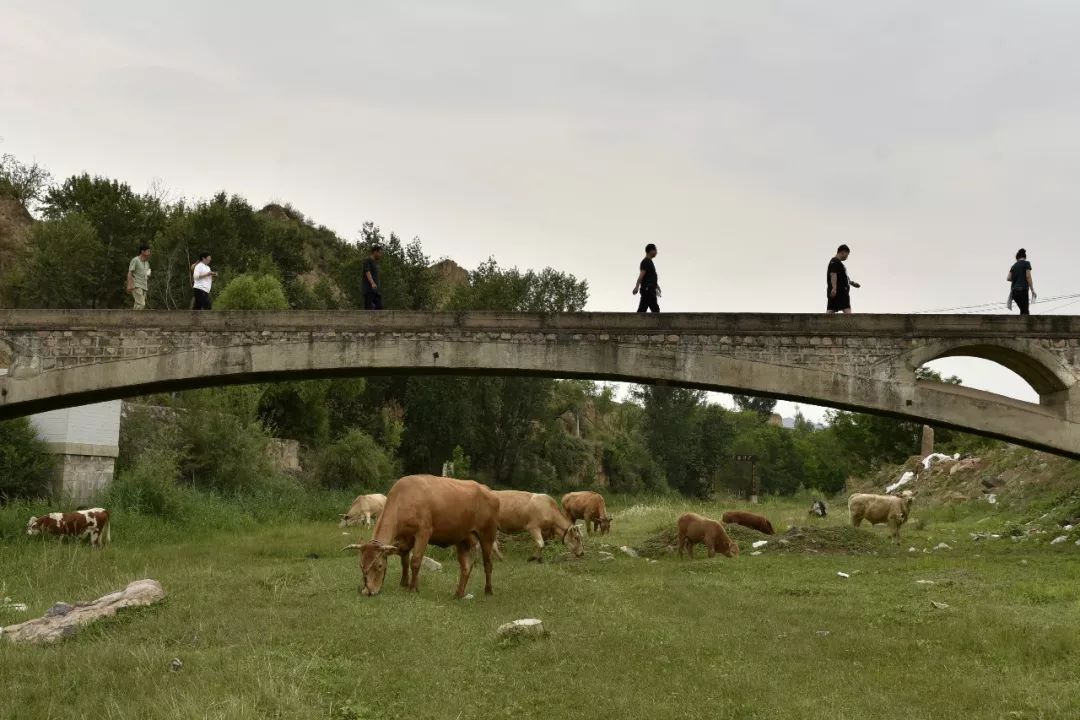 艾青 《桥》 孙淑侠(陕西澄城) 丹映(广东广州) 20191212.