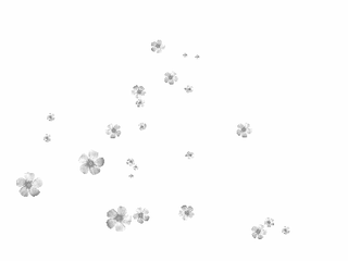 俏皮的雪花作者杨鸿斌主播诗蝶