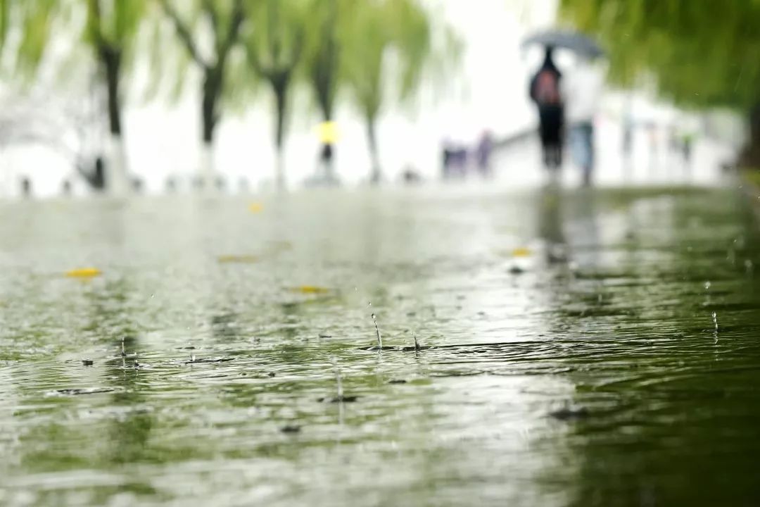 杭州的冬雨啊淅淅沥沥下个没完我们啥时候能晒雪答案亮了