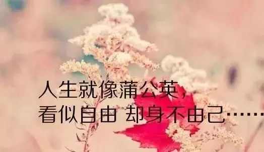 态度好的人 29106153c1d5453ca7c375d6d0207ed8.jpeg