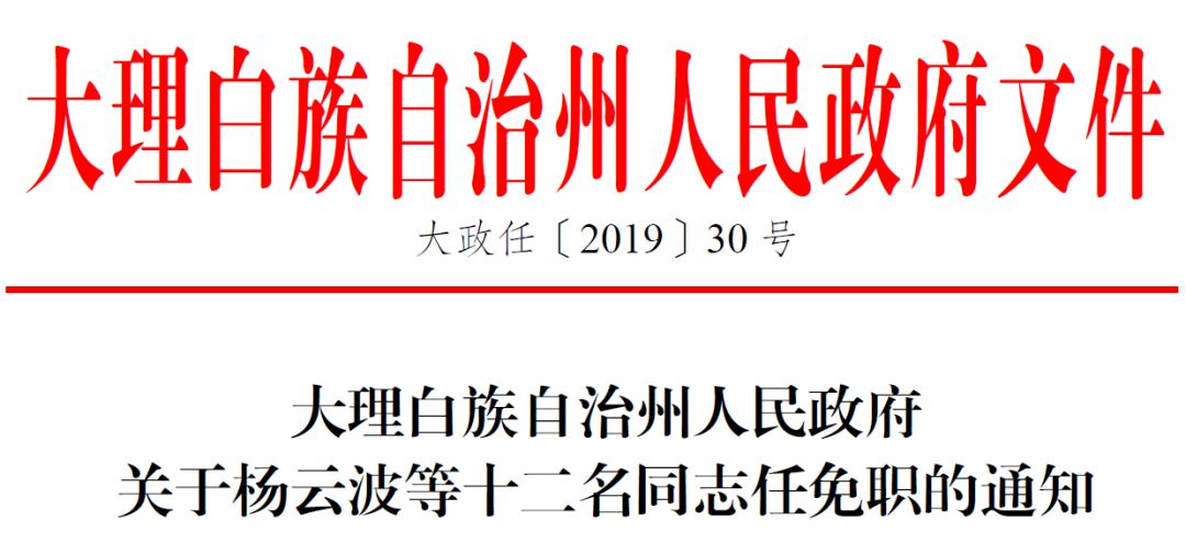 大理州政府发布任免职通知涉及这20人