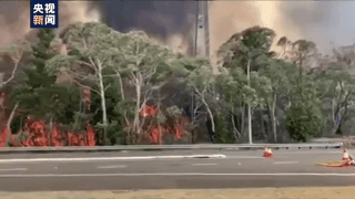 澳大利亚林火持续蔓延威胁民宅高温大风致灭火困难