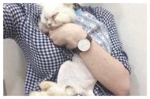 丢弃的硅胶人 2edfadf84e81475284716b0f11585ca4.jpeg