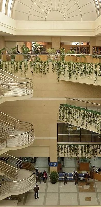 海面湖字图书馆猜成语_图书馆卡通图片(2)