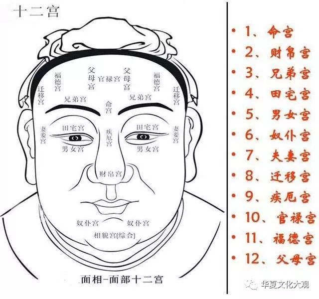 一起了解道教的五术山医命相卜