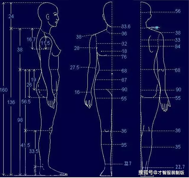 如右图所示,为160/84a标准人体测量图.