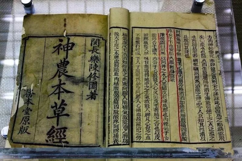 《神农本草经》记载"阿胶疗虚劳咳嗽喘急,肺萎"和血滋阴,除风润燥