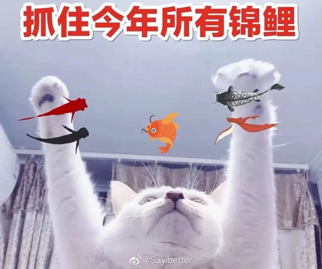 584fcf46ac9445cfa5d778032aa8ce3f.jpeg