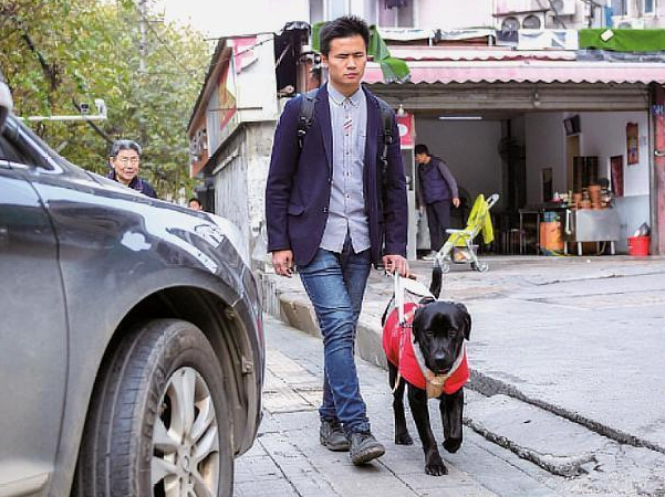 帶導盲犬打車遭拒載，司機：帶狗上車就是開不了 寵物 第3張