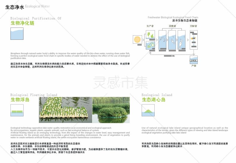 浅谈人口与生态环境的关系_保护生态环境手抄报(3)