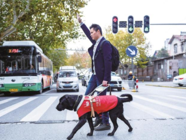 帶導盲犬打車遭拒載，司機：帶狗上車就是開不了 寵物 第4張