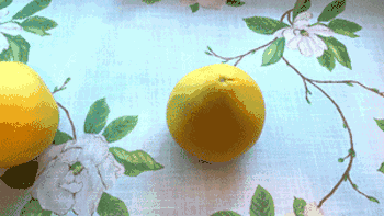 350_197gif 动态图 动图