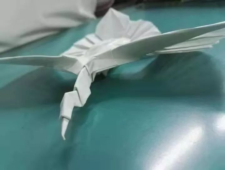 我的大学生活折纸