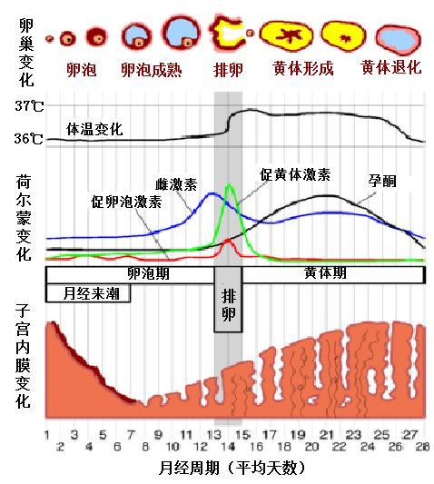 海之声天津鞍山道的个人展示页