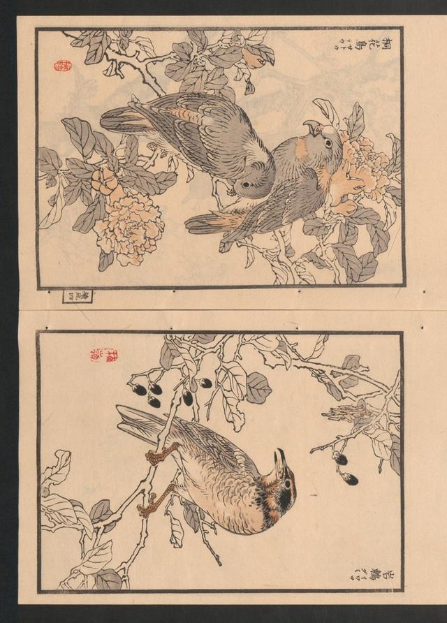 1881年《梅岭百鸟画谱续编》三册(日本)幸野梅岭画