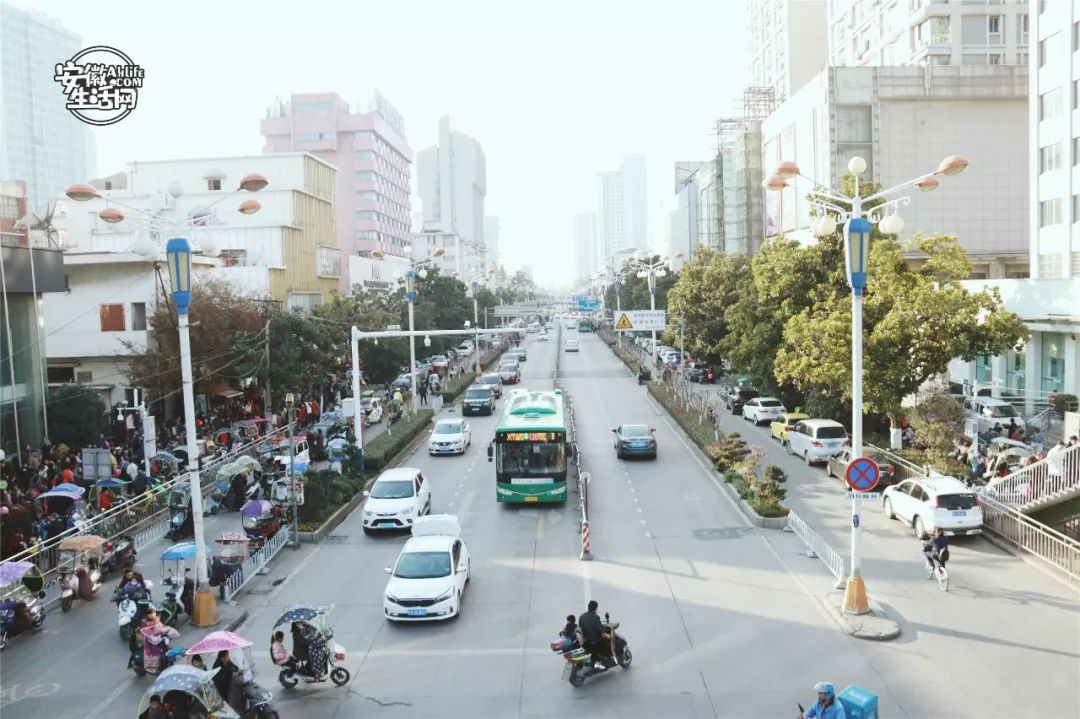 寿春路合肥最幸福的一条路