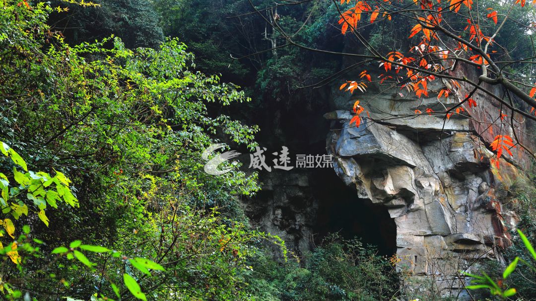 在威远幽静的大山深处,藏着这样一个"小情人",太美!太