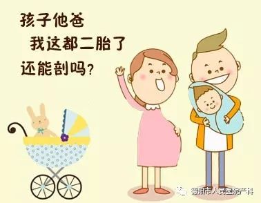 几个月胎儿算是一个生命 bb8c973d250848dfb03b5347ea308b27.jpeg