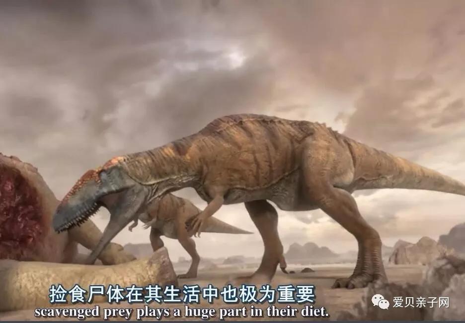 资源分享|bbc恐龙纪录片:《恐龙星球》 全6集 中英双语字幕 高清720p
