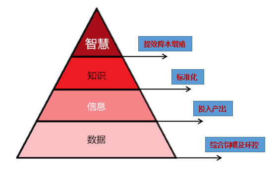 d2bef3bfed2941d6aab8e861bf525e23.png