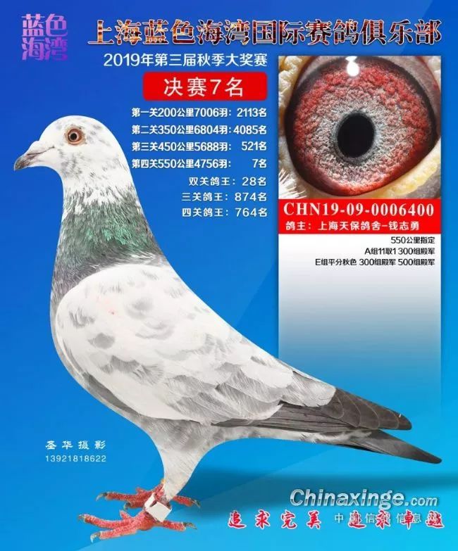 d9ed57c6afa04b0983c8906b6db04380.jpeg