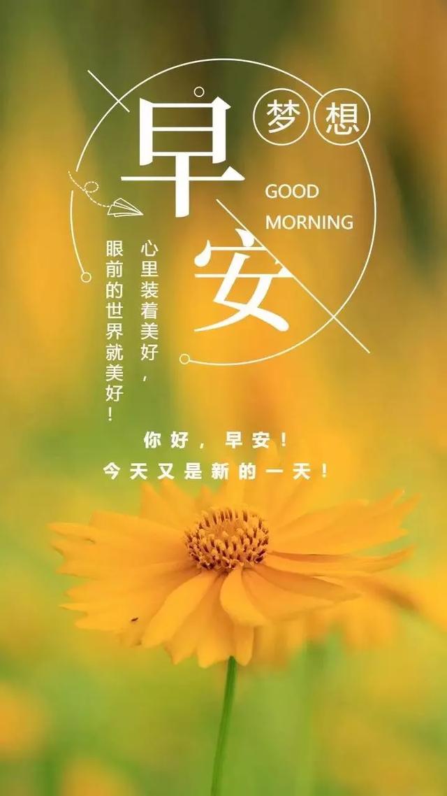 dfcd5f7e7228417aab08bf72d2bb28b3.jpeg
