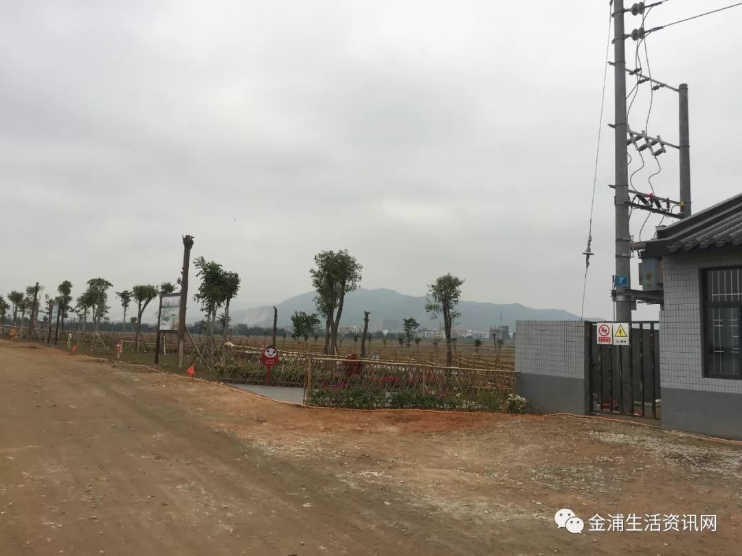 金浦梅花湿地公园景色