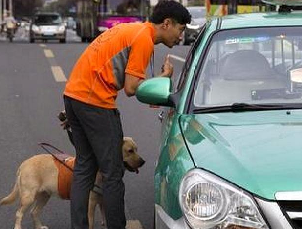 帶導盲犬打車遭拒載，司機：帶狗上車就是開不了 寵物 第7張