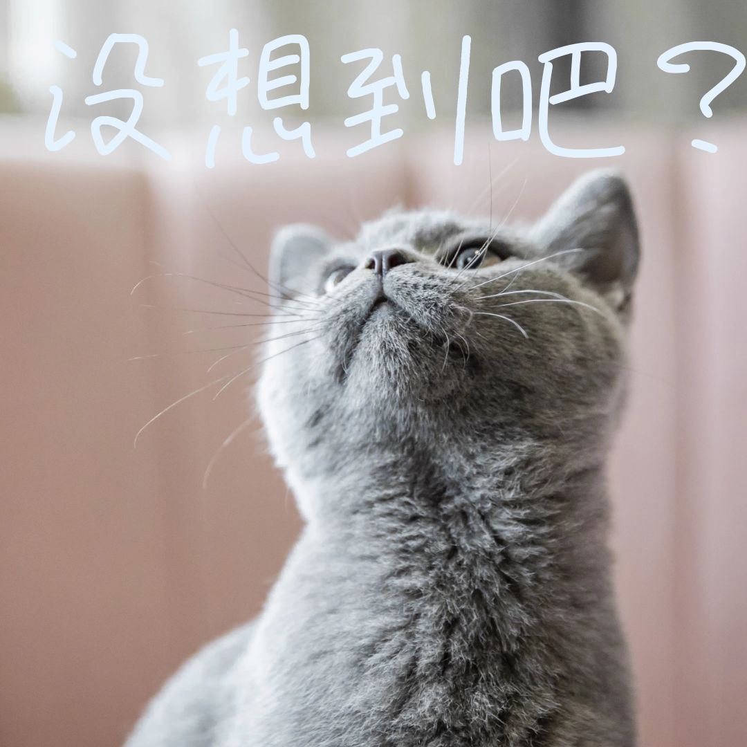 【专访】扯拐儿青年耿粲林