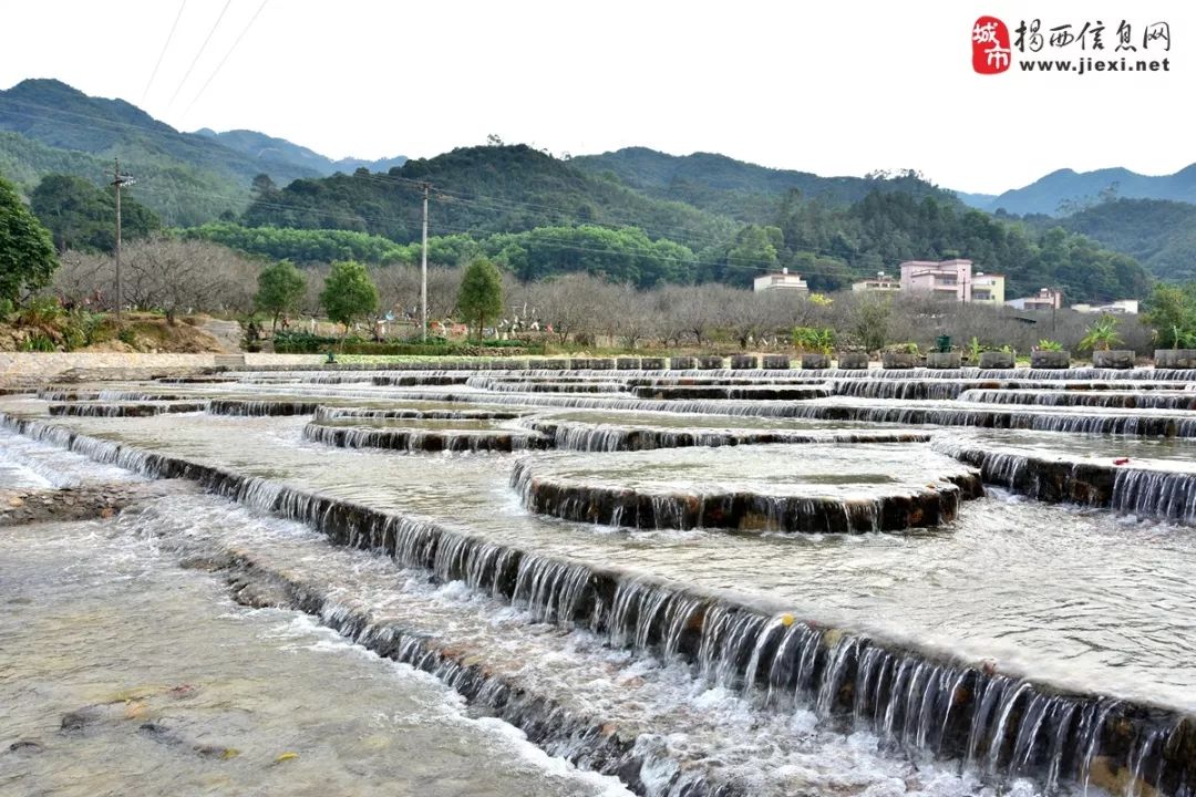 今年梅花节,揭西坪上镇石内,新增了网红水坝,网红桥,赏梅小道,赏梅亭