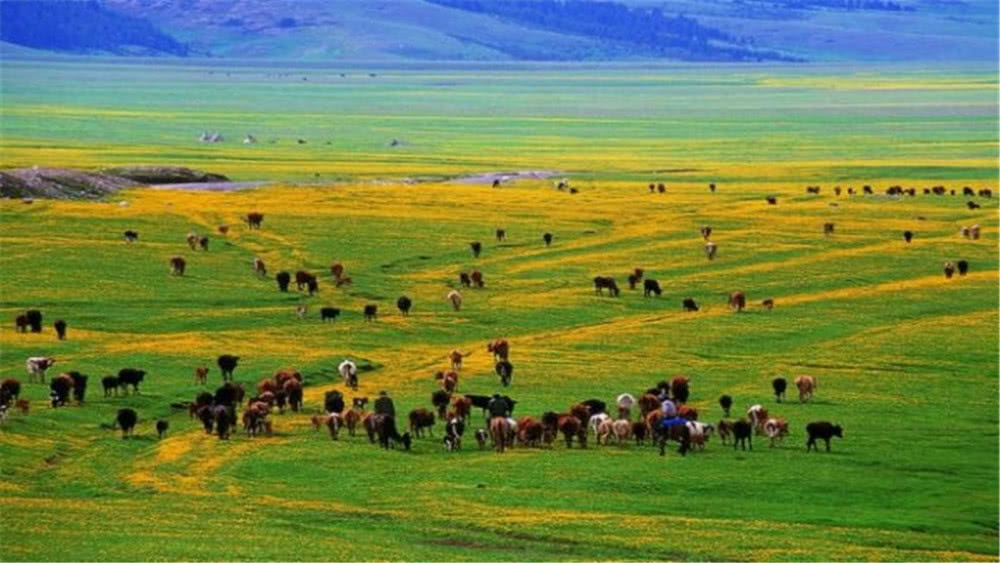 现在可以去新疆 1cc5e1e9c6424376a947246dba78e86b.jpeg