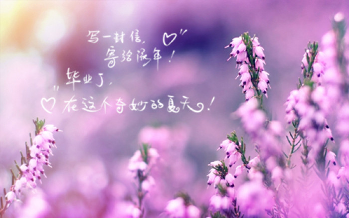 26e6ae5e1fb0431c9e6632f40f15b07c.jpeg