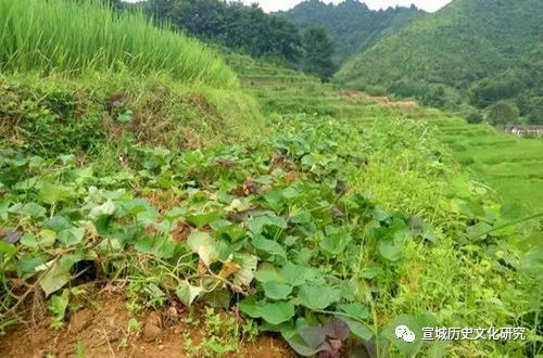 广德县甘溪村民俗文化探寻（二）