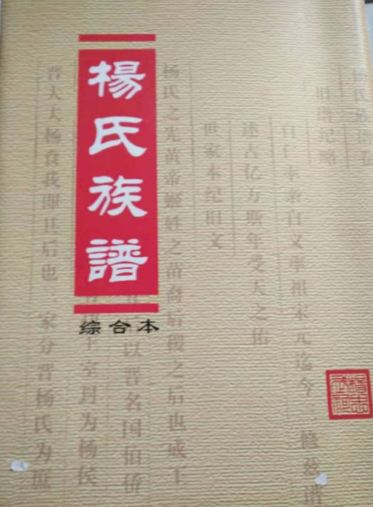 李淳去戏说还真相传家风67弘扬杨家将忠烈武勇的爱国主义精神二