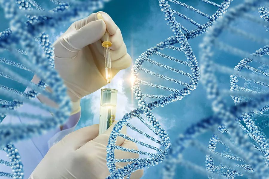 17年前命案遗留物检出DNA，警方比对两大姓氏三千人破案