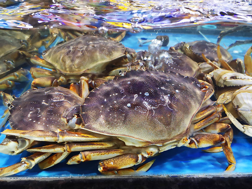 原创             冬游三亚，那些地方最好玩？这些地方你去过几个？