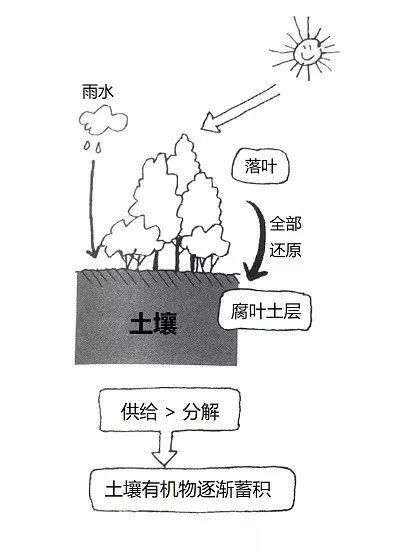 土壤的基础知识讲解19