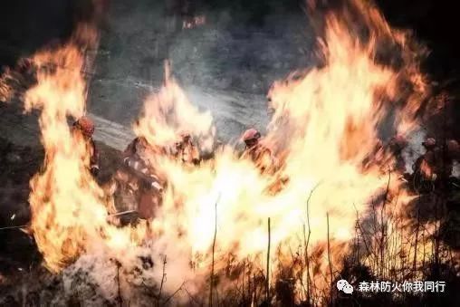 文明祭祀迎冬至,安全防火记心中!