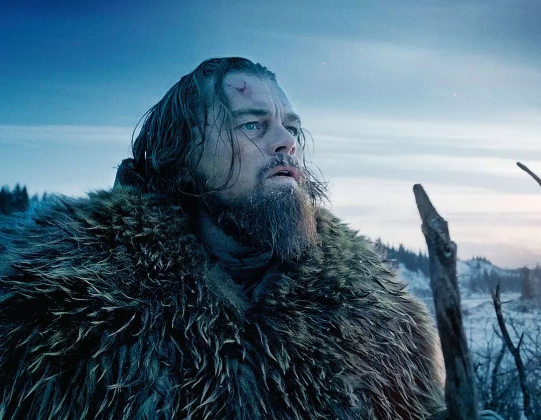 影视欣赏 | 小李子带你学英语