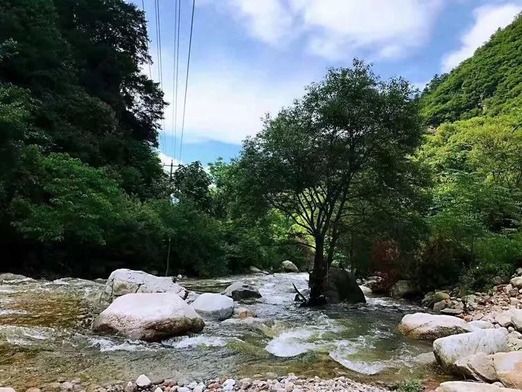 鄠邑区那个村子人口最多_鄠邑区