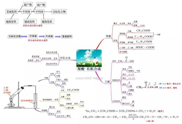 超全的高中化学思维导图必修选修